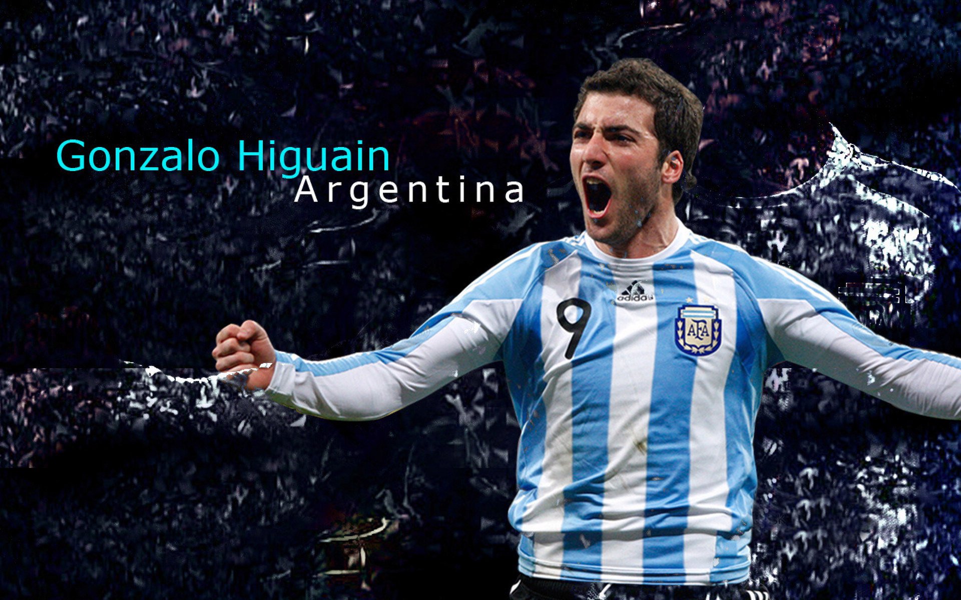 台风过境带来海鲜盛宴,惠州生态亮眼,台风惠州受影响不